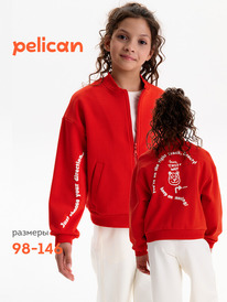 13.07 Pelican ��������� ��� ������� GFX3388U �������