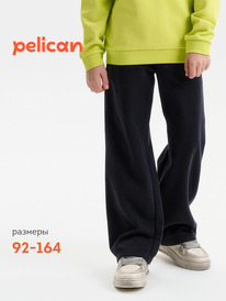 13.07 Pelican ����� ��� ��������� BFPQ3388 ������