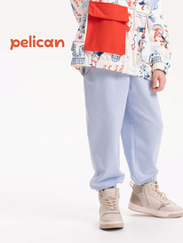 13.07 Pelican ����� ��� ������� GFPQ3319/2U ���