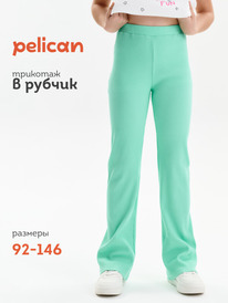 13.07 Pelican ����� ��� ������� GFL3352//2 ������