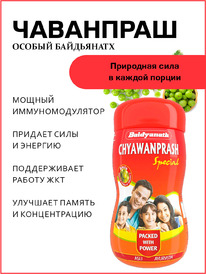 Baidyanath Ayurveda Baidyanath Chyawanprash / ��������� ��������� 500 �