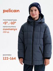 02.10 Pelican ������ ��� ���������