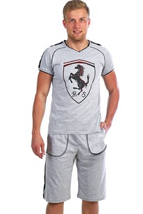 ������ ����