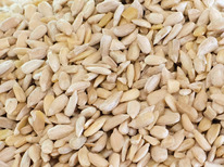 ������� ���������� ��������