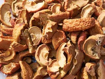 ������ �������